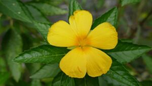 Image gatewayartsconcerts.co.uk 2208 1745988673367