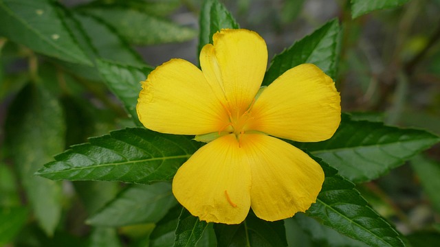 Image gatewayartsconcerts.co.uk 2208 1745988673367