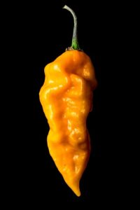 Image gatewayartsconcerts.co.uk 2276 1746029875623