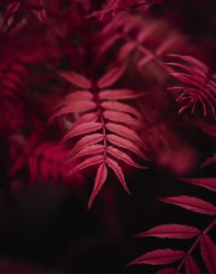 Image gatewayartsconcerts.co.uk 2868 1746665017371