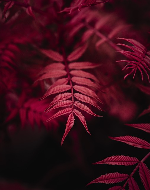 Image gatewayartsconcerts.co.uk 2868 1746665017371